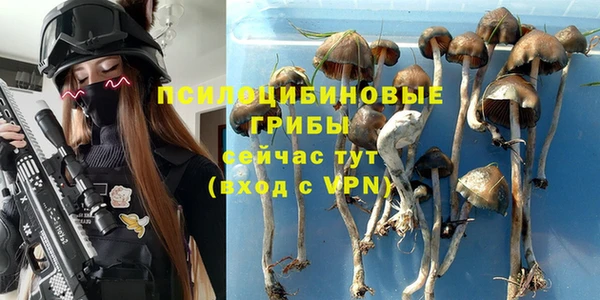 экстази Арсеньев