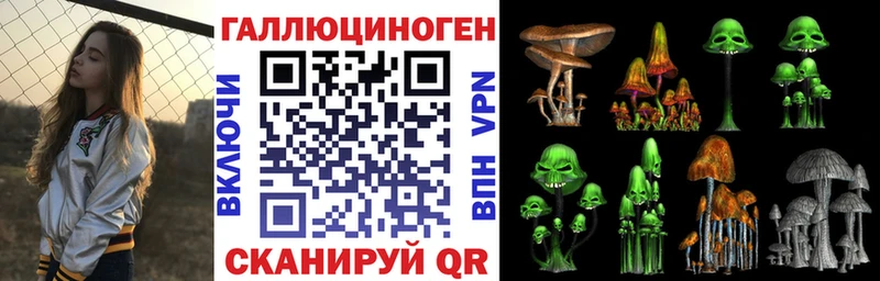 купить закладку  Мещовск  ссылка на мегу зеркало  Псилоцибиновые грибы Cubensis 